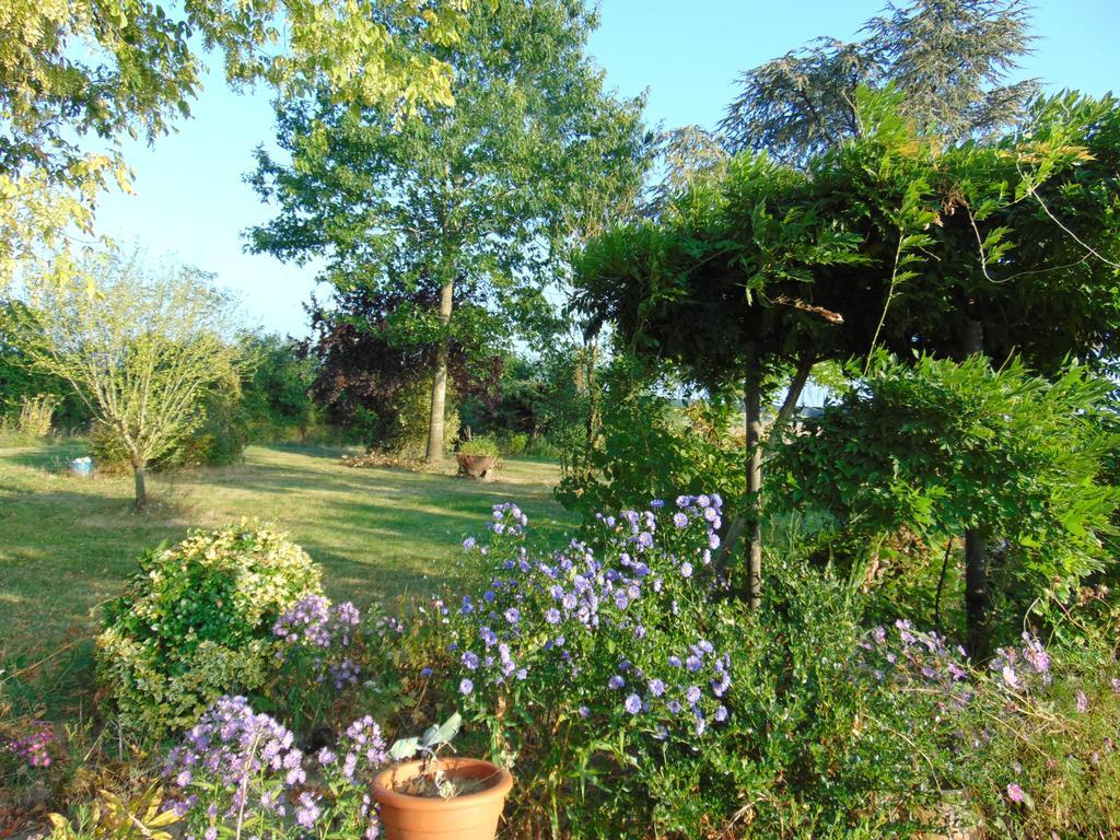 La Ferme Aux Oies Bed & Breakfast Reugny Exterior photo