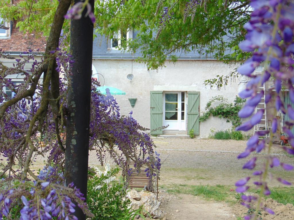 La Ferme Aux Oies Bed & Breakfast Reugny Exterior photo