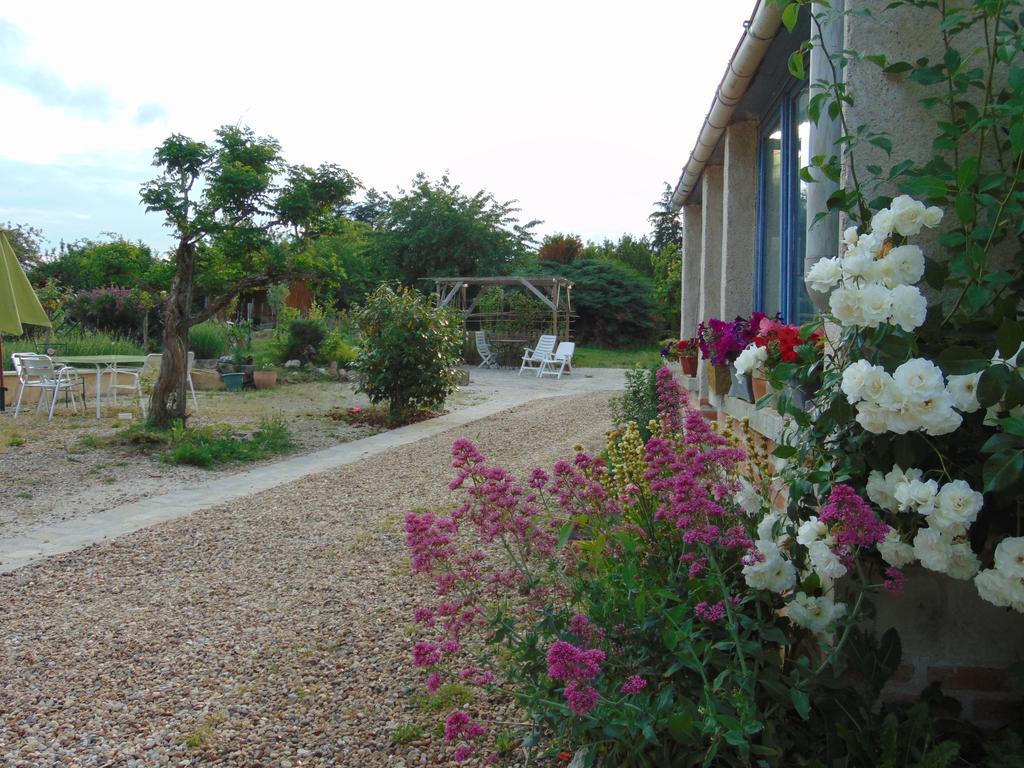 La Ferme Aux Oies Bed & Breakfast Reugny Exterior photo