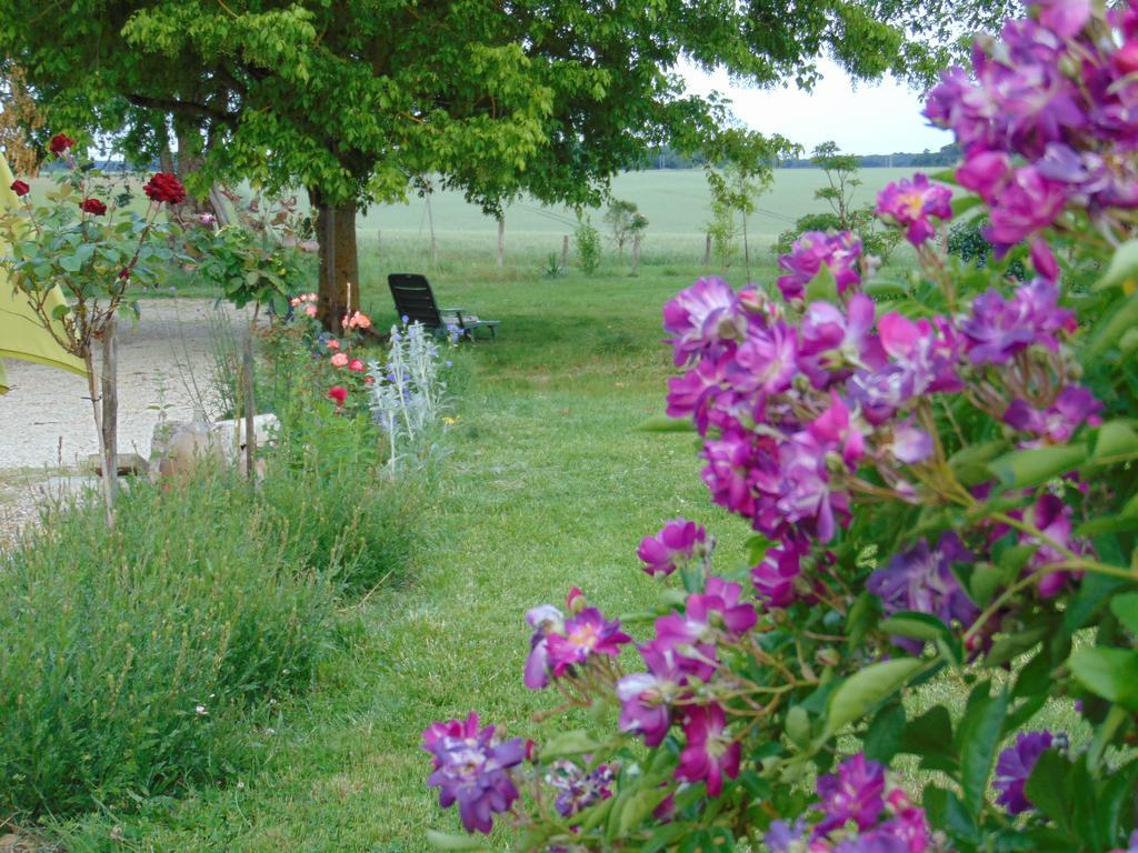 La Ferme Aux Oies Bed & Breakfast Reugny Exterior photo